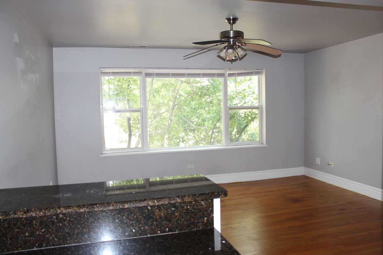 3401 W Hollywood Avenue #3W, Chicago, IL 60659