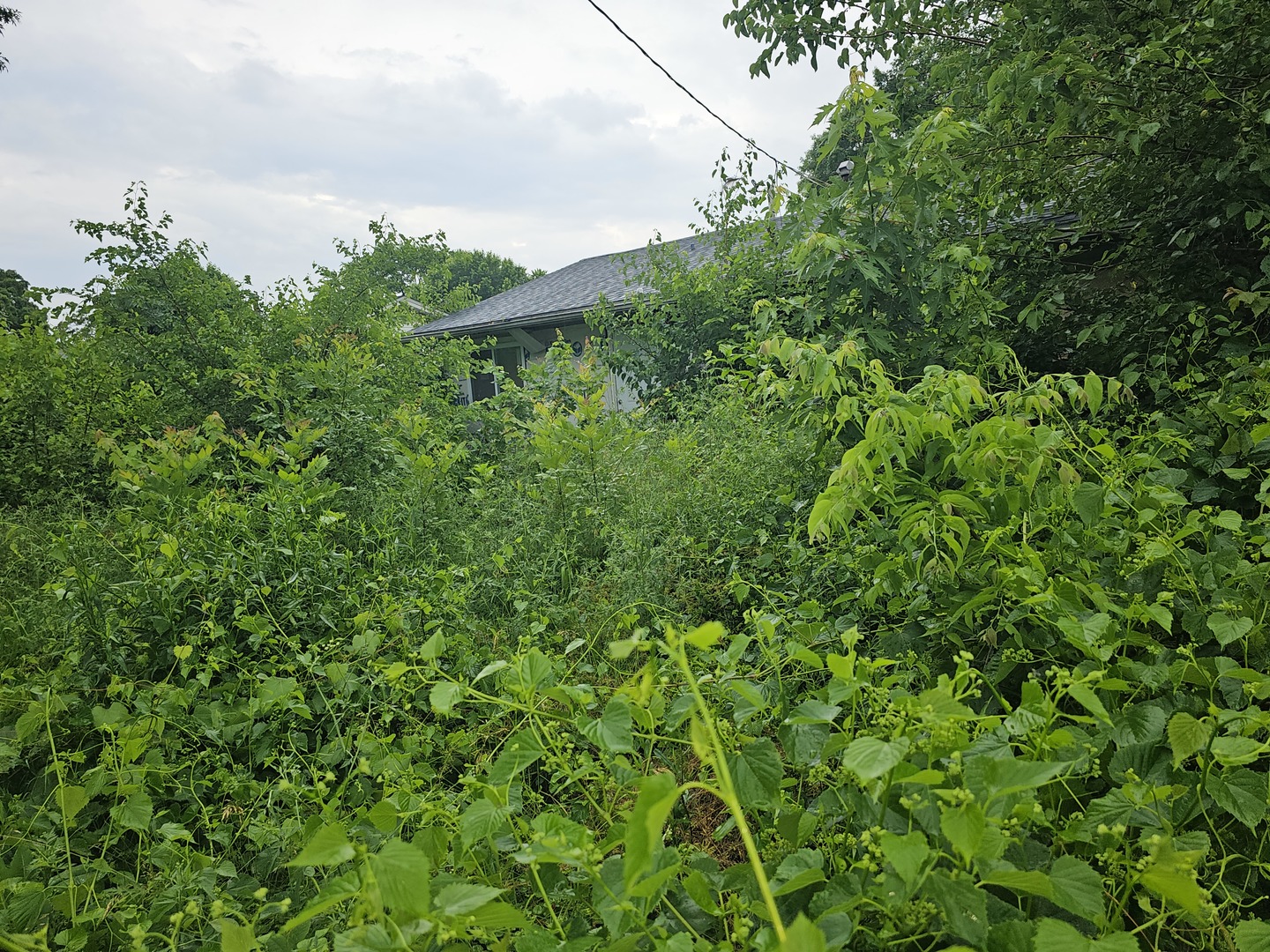 1161 HALLORAN Street, Sauget, IL 62206