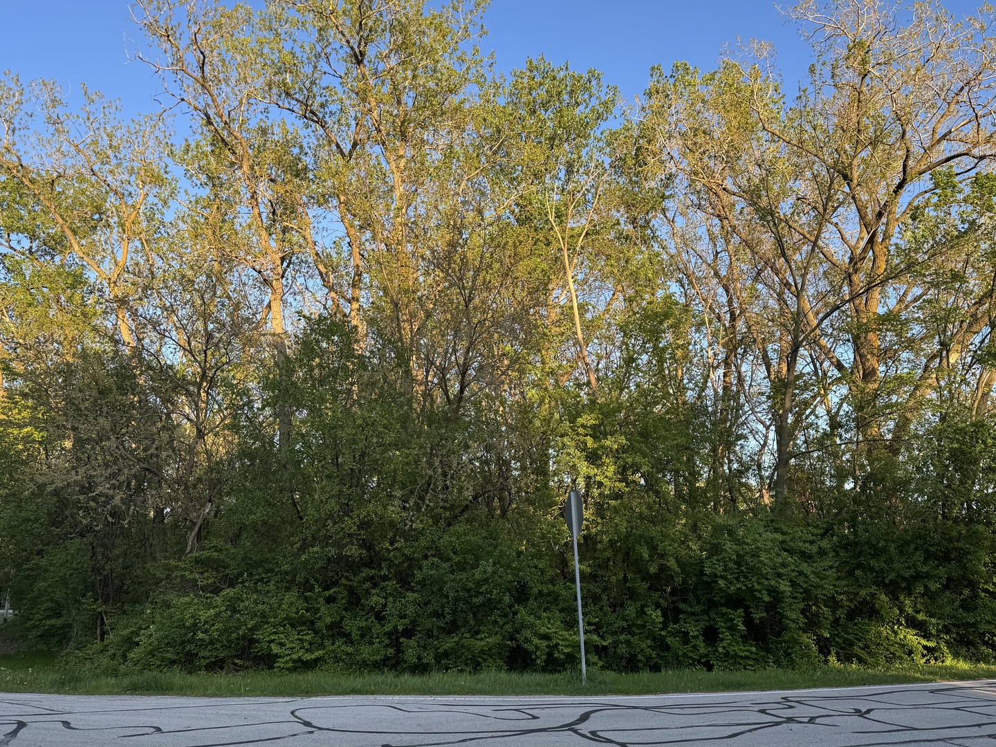 Lot 17 Lacey Avenue, Naperville, IL 60563