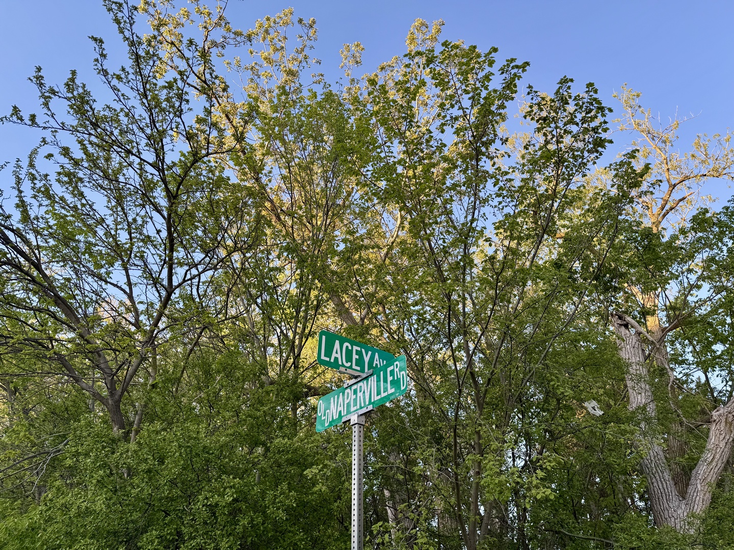 Lot 17 Lacey Avenue, Naperville, IL 60563
