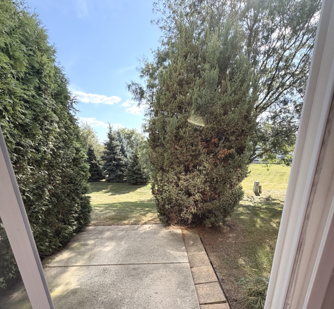 20 Lily Court, Bolingbrook, IL 60440