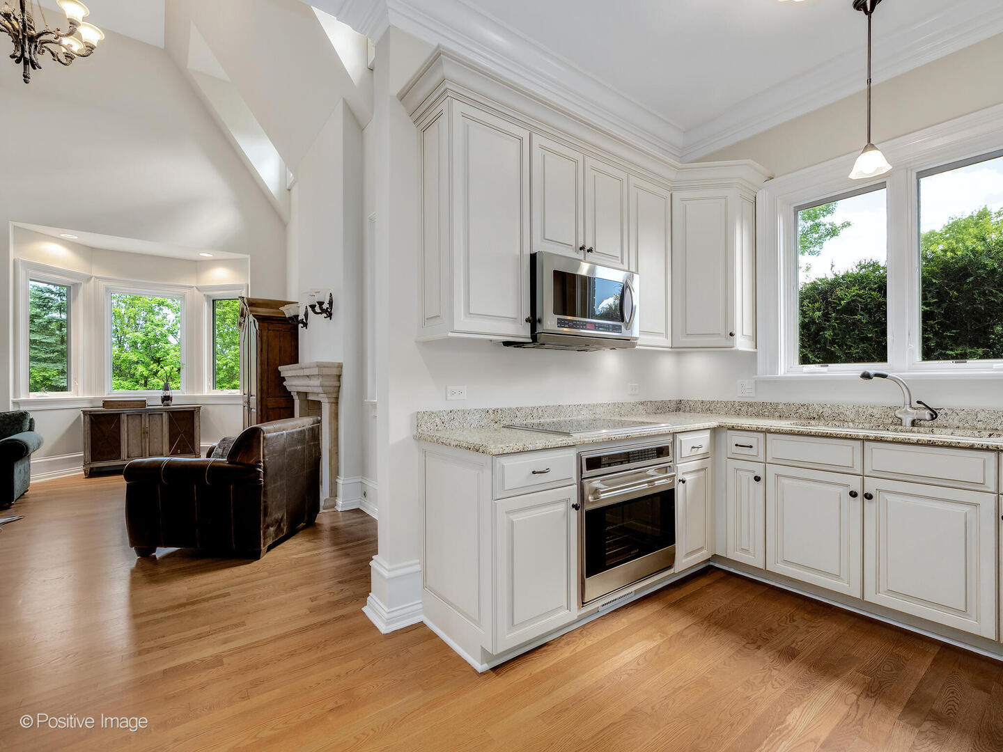 6655 Lee Court, Burr Ridge, IL 60527