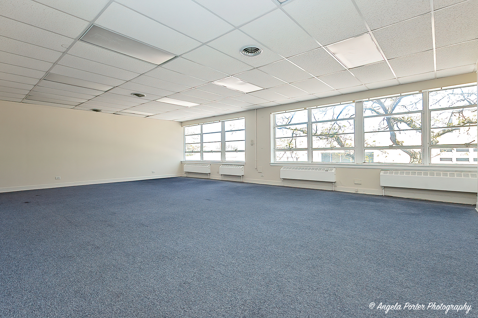 228 N GENESEE Street, Waukegan, IL 60085