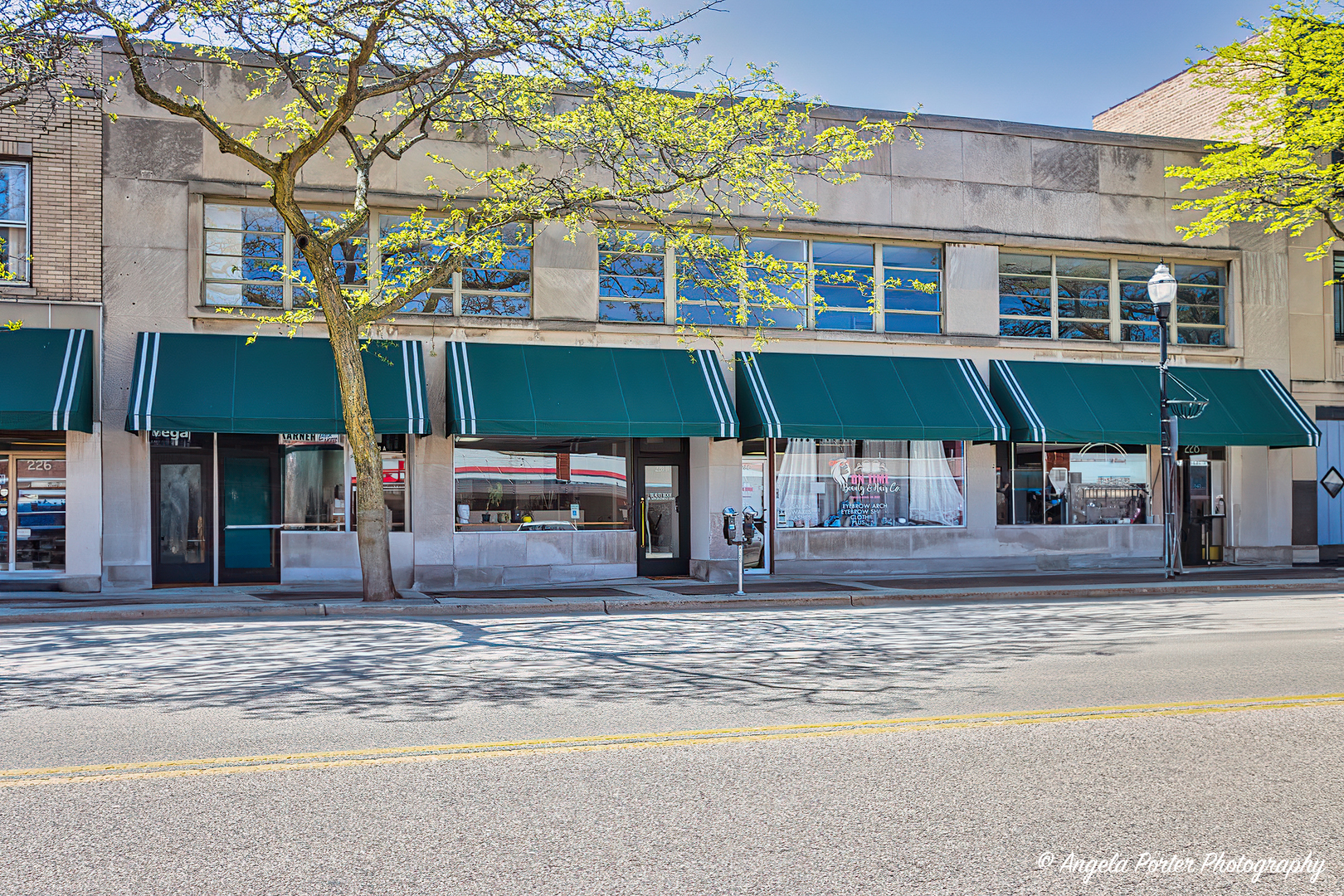 228 N GENESEE Street, Waukegan, IL 60085
