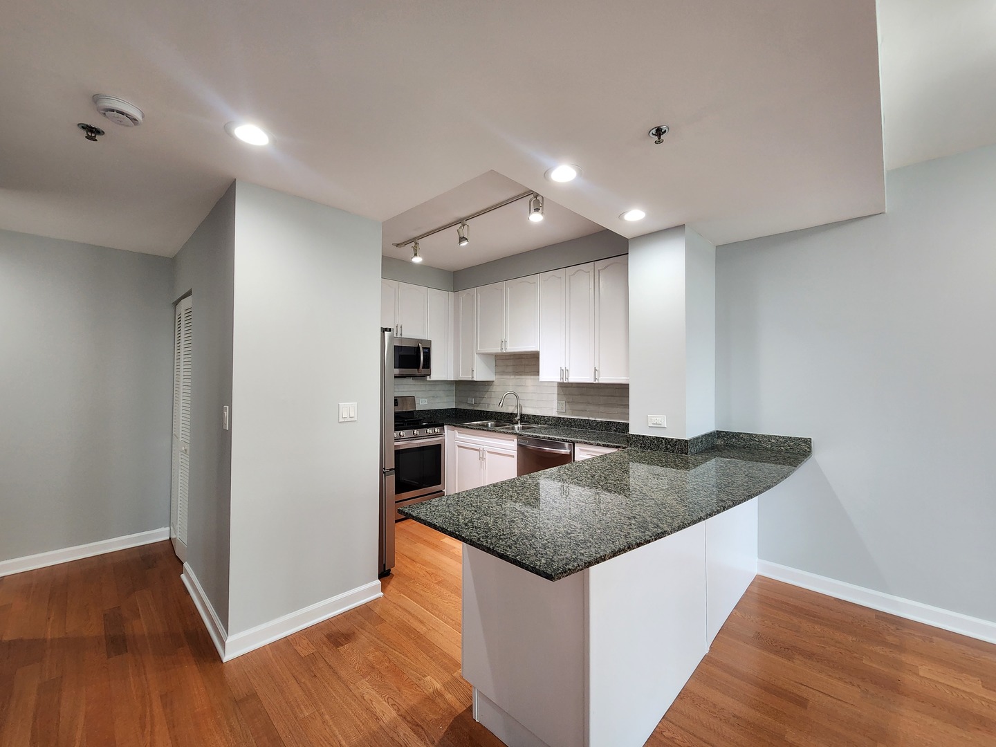 1250 S Michigan Avenue #703, Chicago, IL 60605