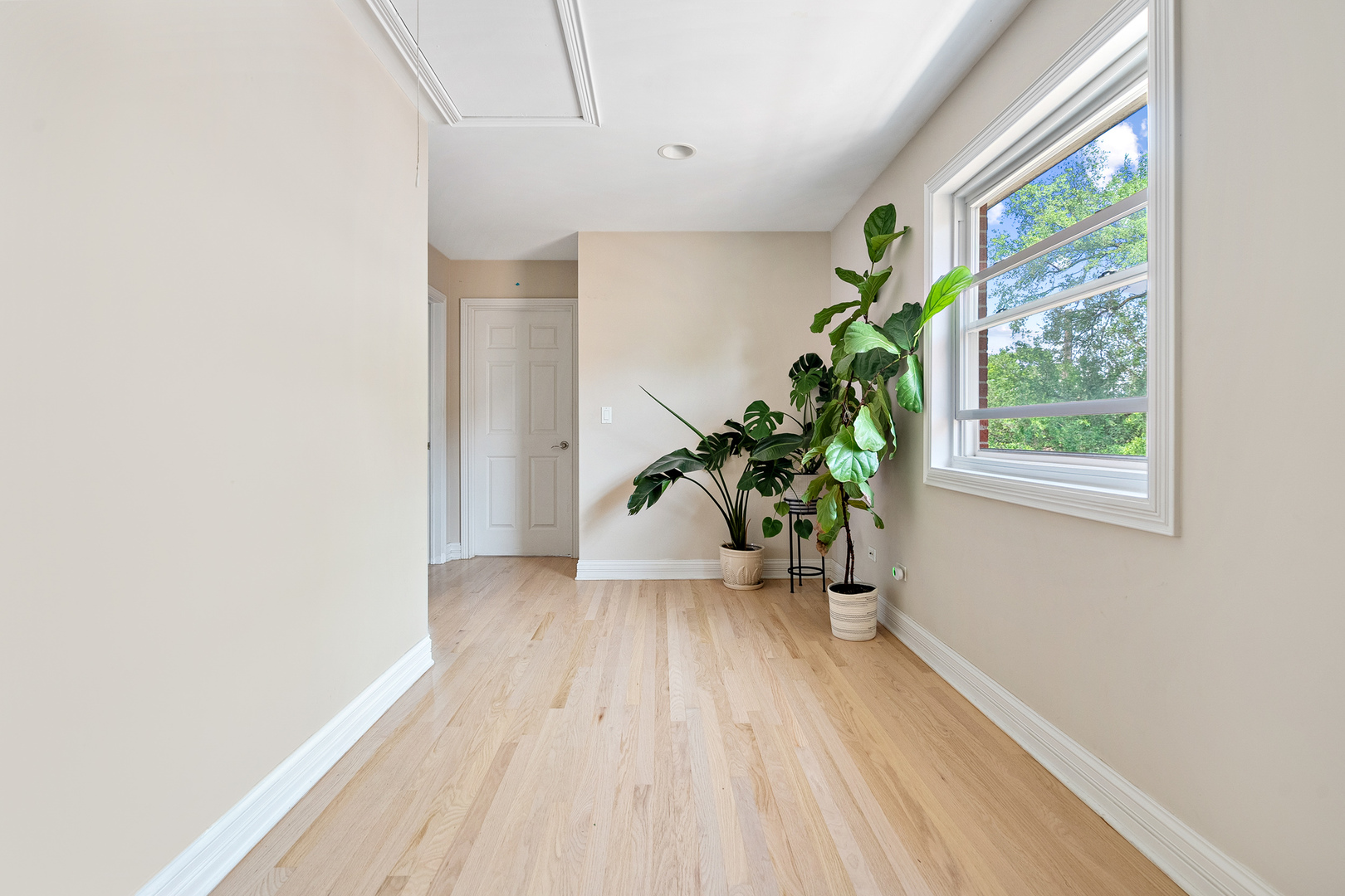 3638 N ODELL Avenue, Chicago, IL 60634