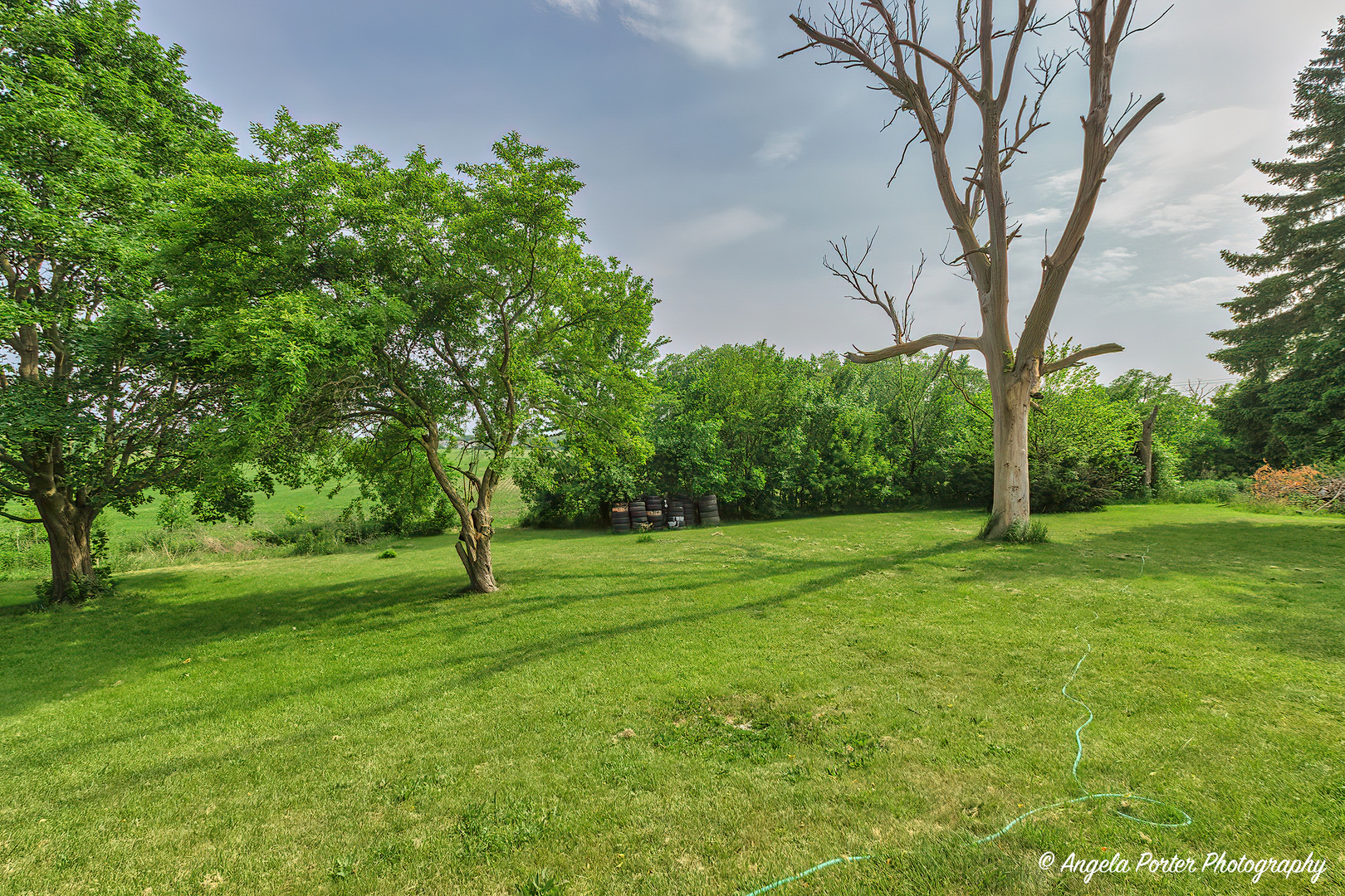 12977 W 9th Street, Zion, IL 60099