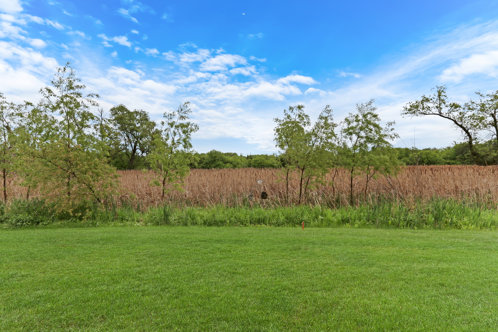 17526 W Windhaven Court, Grayslake, IL 60030