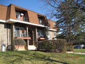 580 Mesa Drive #203, Hoffman Estates, IL 60169