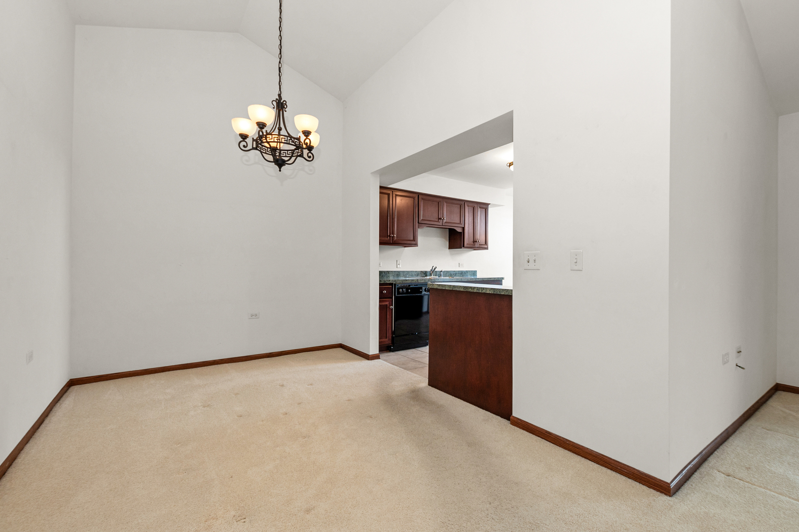 6248 Misty Pines Drive #4, Tinley Park, IL 60477
