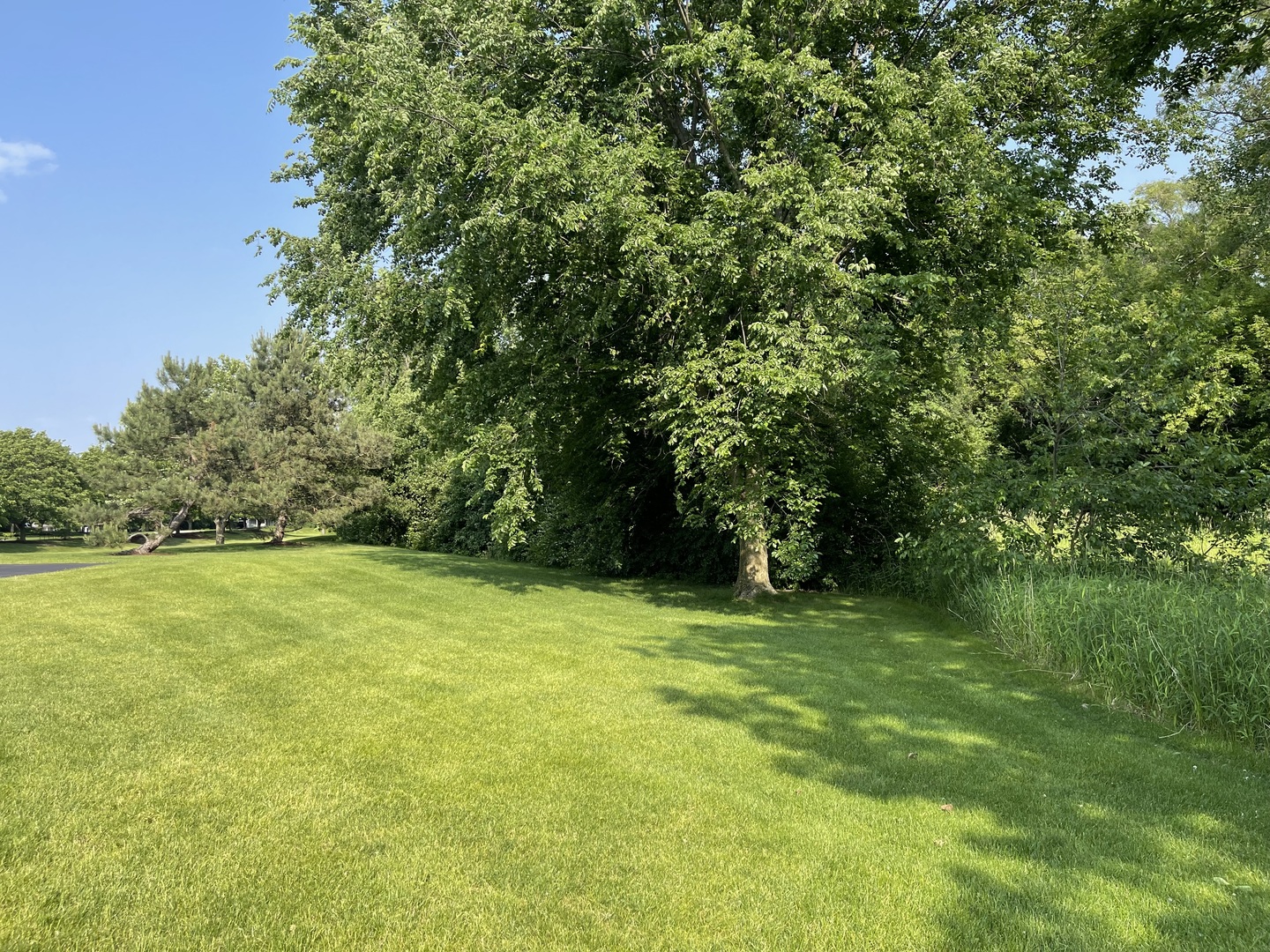 3S043 Timber Drive #043, Warrenville, IL 60555