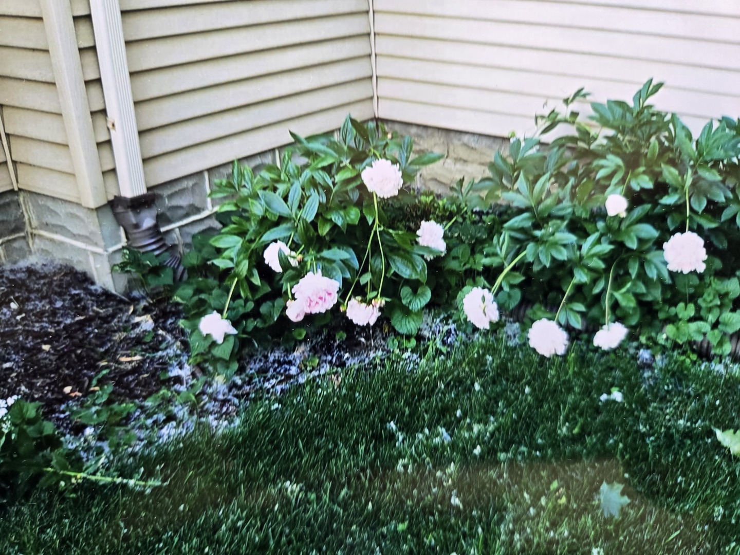 14723 Kildare Avenue, Midlothian, IL 60445
