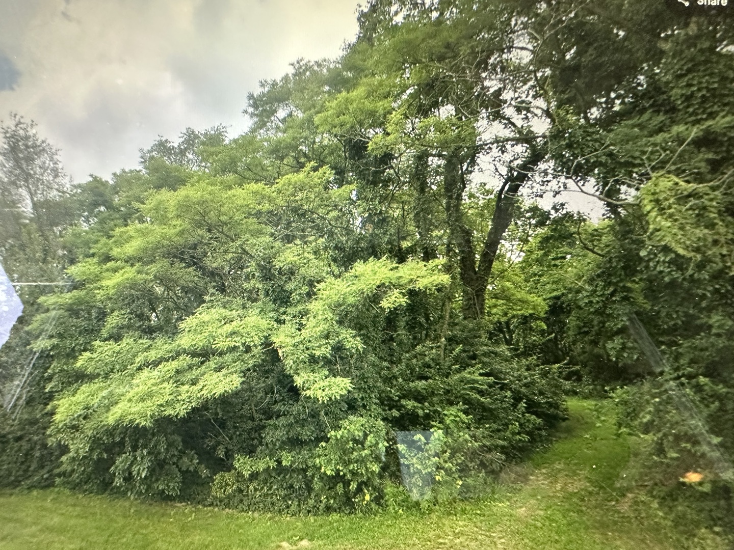 113 Prairie Drive, Essex, IL 60935
