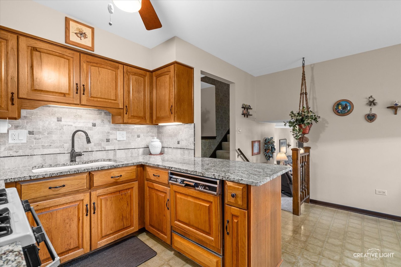 6841 Carpenter Street, Downers Grove, IL 60516
