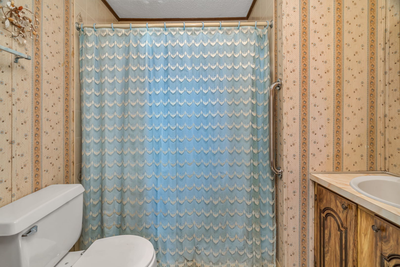 193 Tummytooth Lane, Wilmington, IL 60481