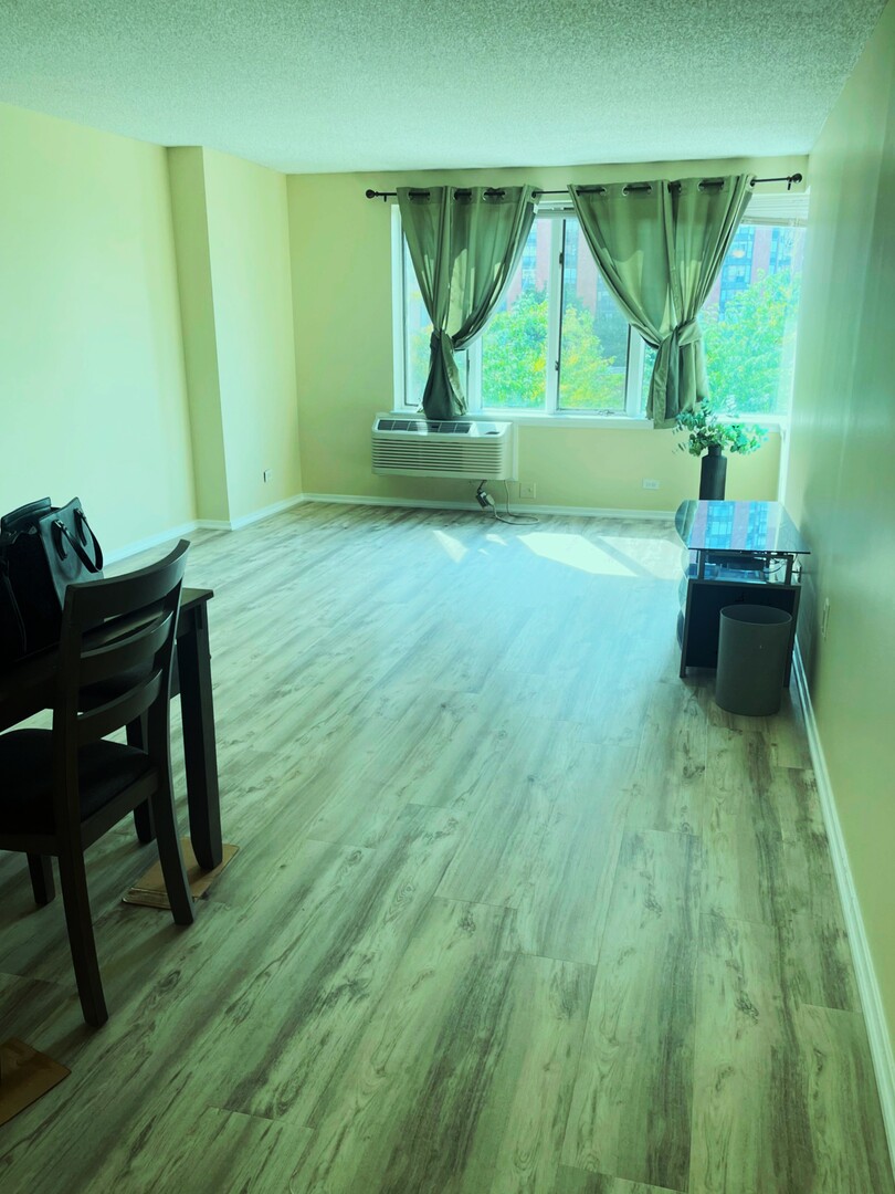 801 S Plymouth Court #416, Chicago, IL 60605