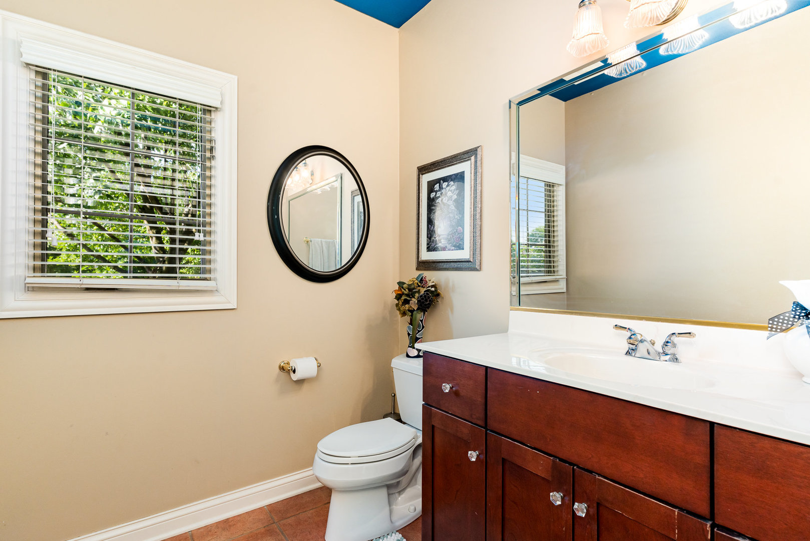3919 Callander Court, Naperville, IL 60564