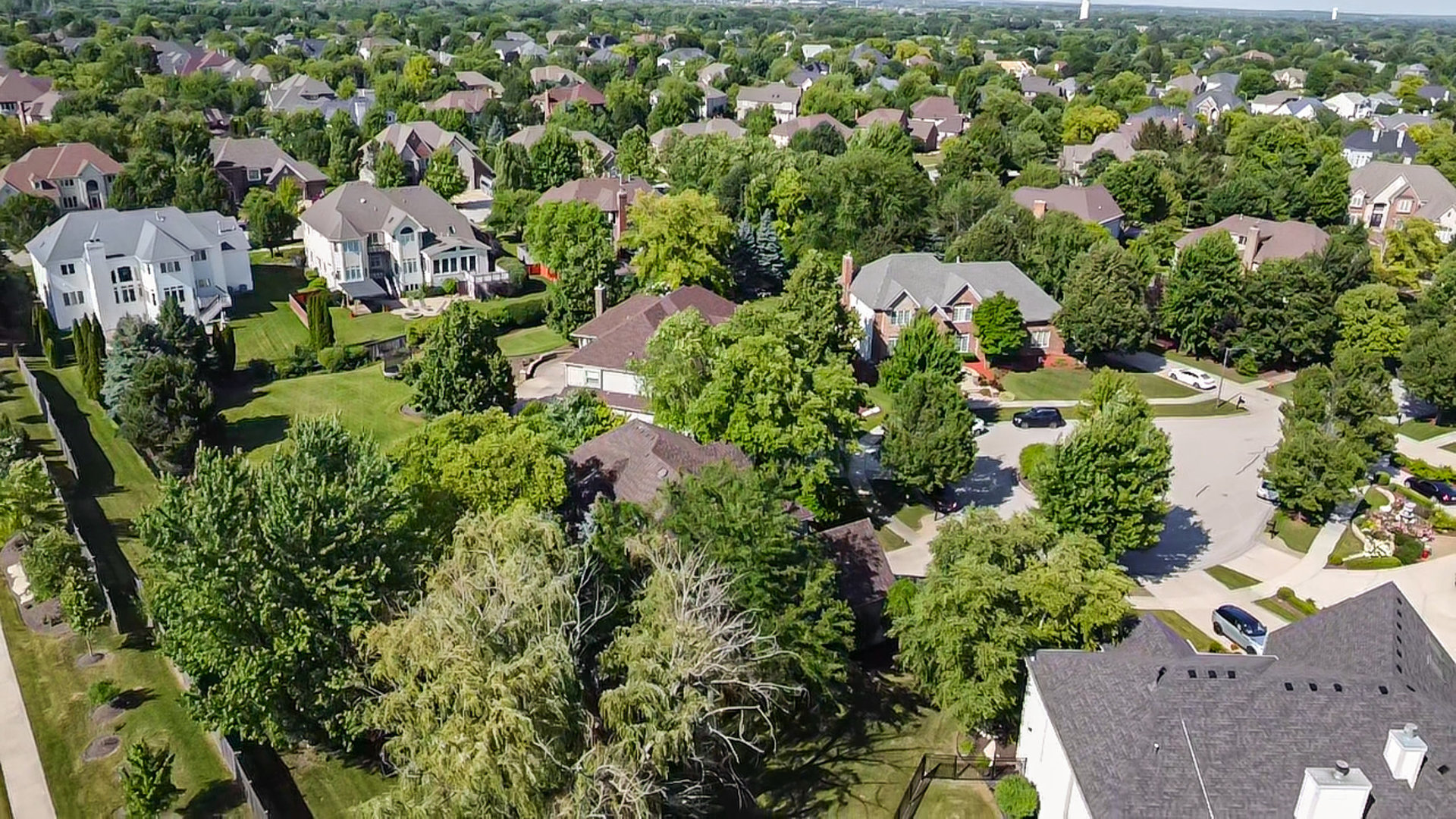 3919 Callander Court, Naperville, IL 60564