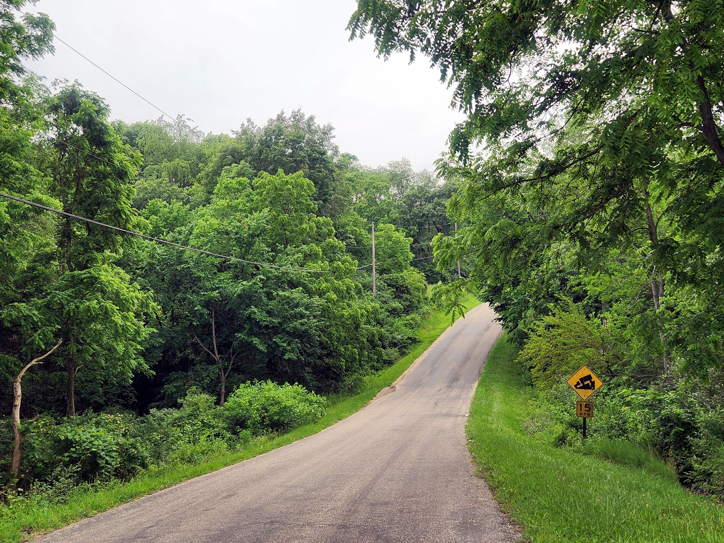 Lot 1573 Lake Wildwood Drive, Varna, IL 61375