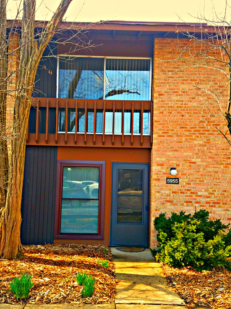 5955 MEADOW Drive #5955, Lisle, IL 60532