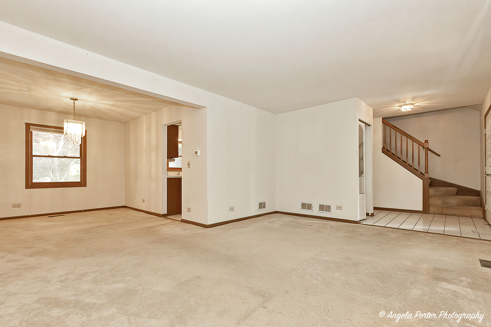 1003 White Pine Drive, Antioch, IL 60002