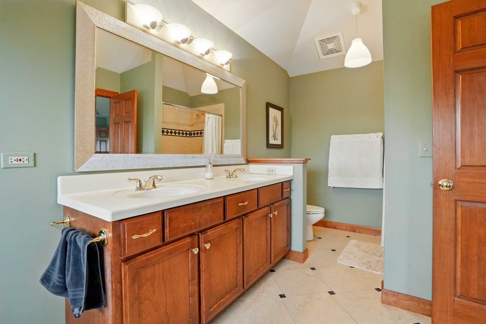 14149 S Chicory Trail, Homer Glen, IL 60491