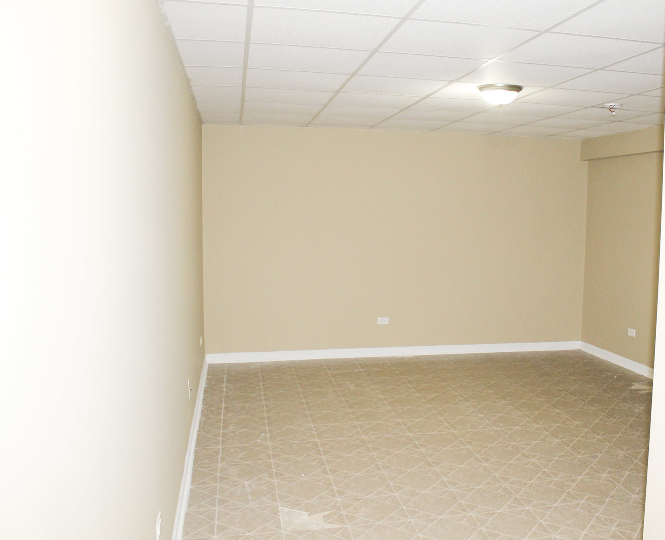 19057 S Saddlebrook Drive, Shorewood, IL 60404