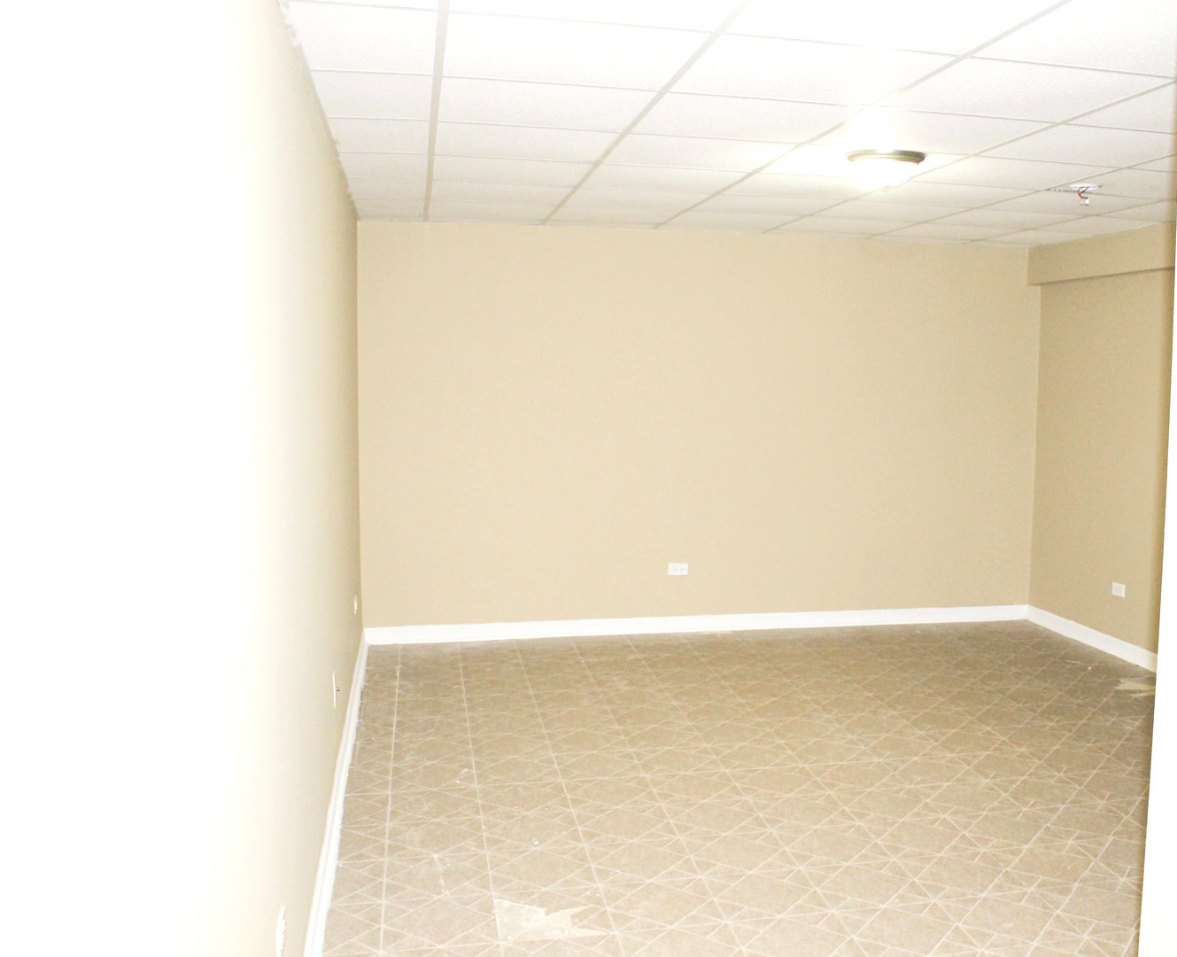 19057 S Saddlebrook Drive, Shorewood, IL 60404