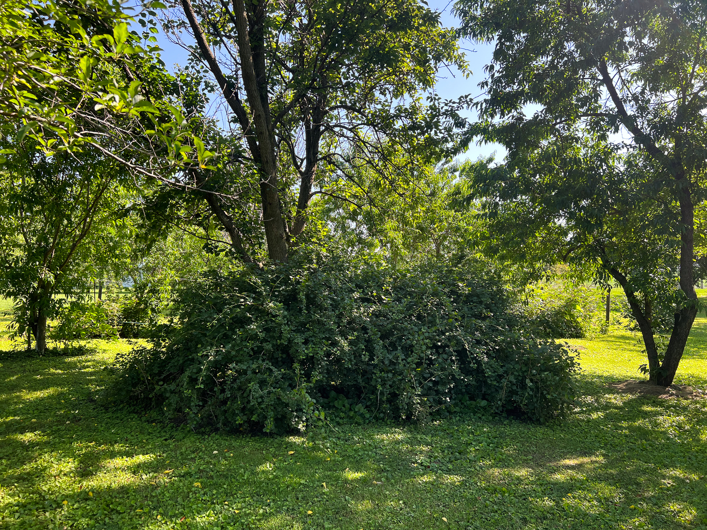 105 W C Street, Delavan, IL 61734