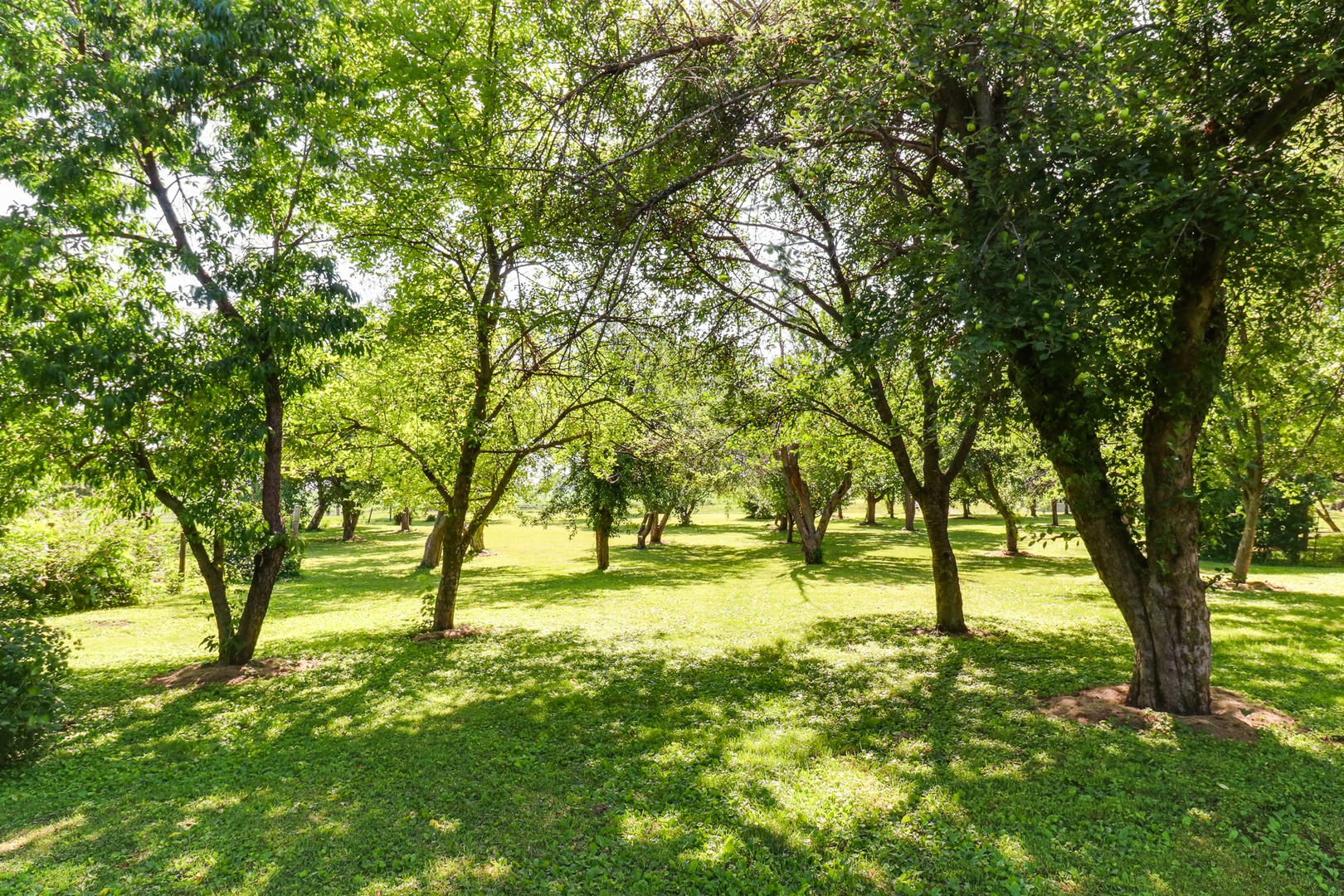 105 W C Street, Delavan, IL 61734