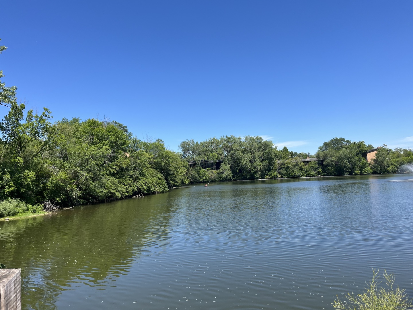 6020 Oakwood Drive #1G, Lisle, IL 60532
