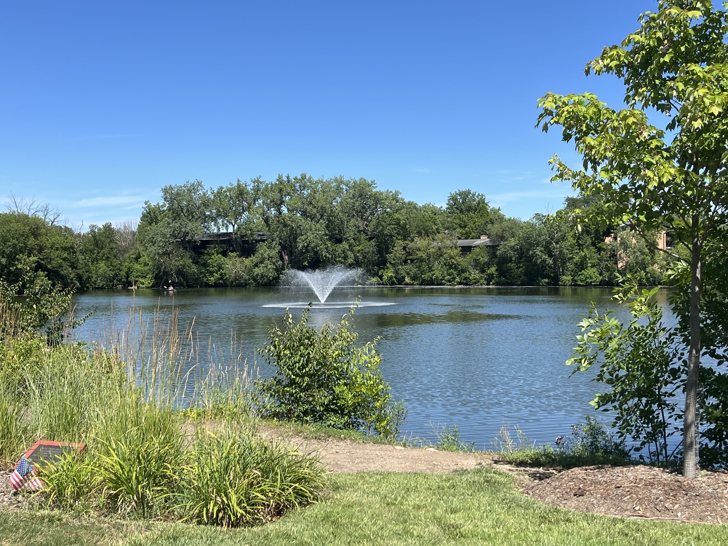 6020 Oakwood Drive #1G, Lisle, IL 60532