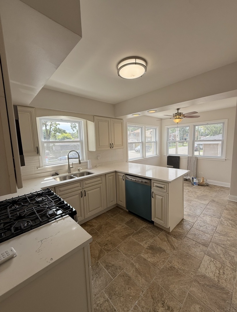 8958 S Oglesby Avenue, Chicago, IL 60617