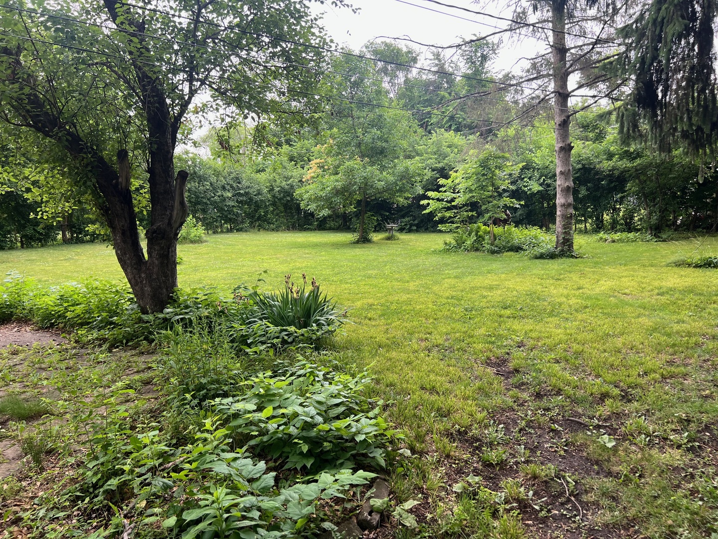2075 Halsey Drive, Des Plaines, IL 60018