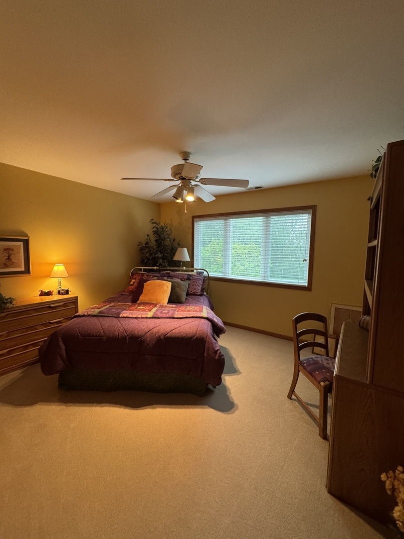 13024 W Creekside Drive, Homer Glen, IL 60491