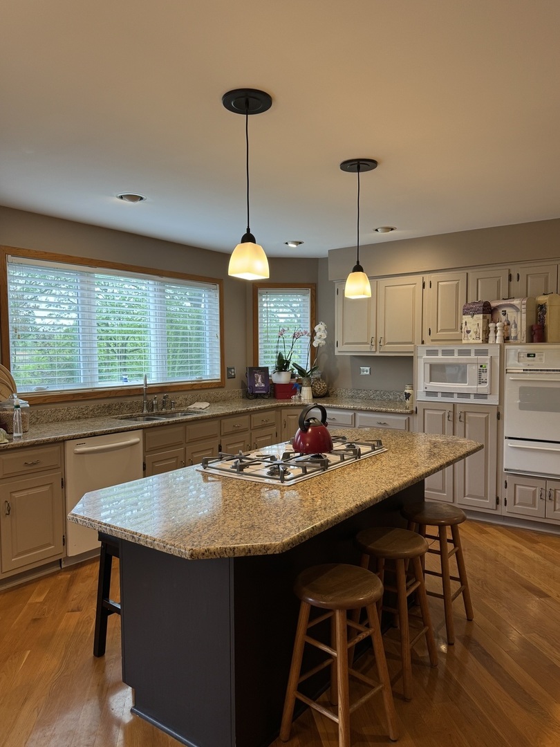 13024 W Creekside Drive, Homer Glen, IL 60491