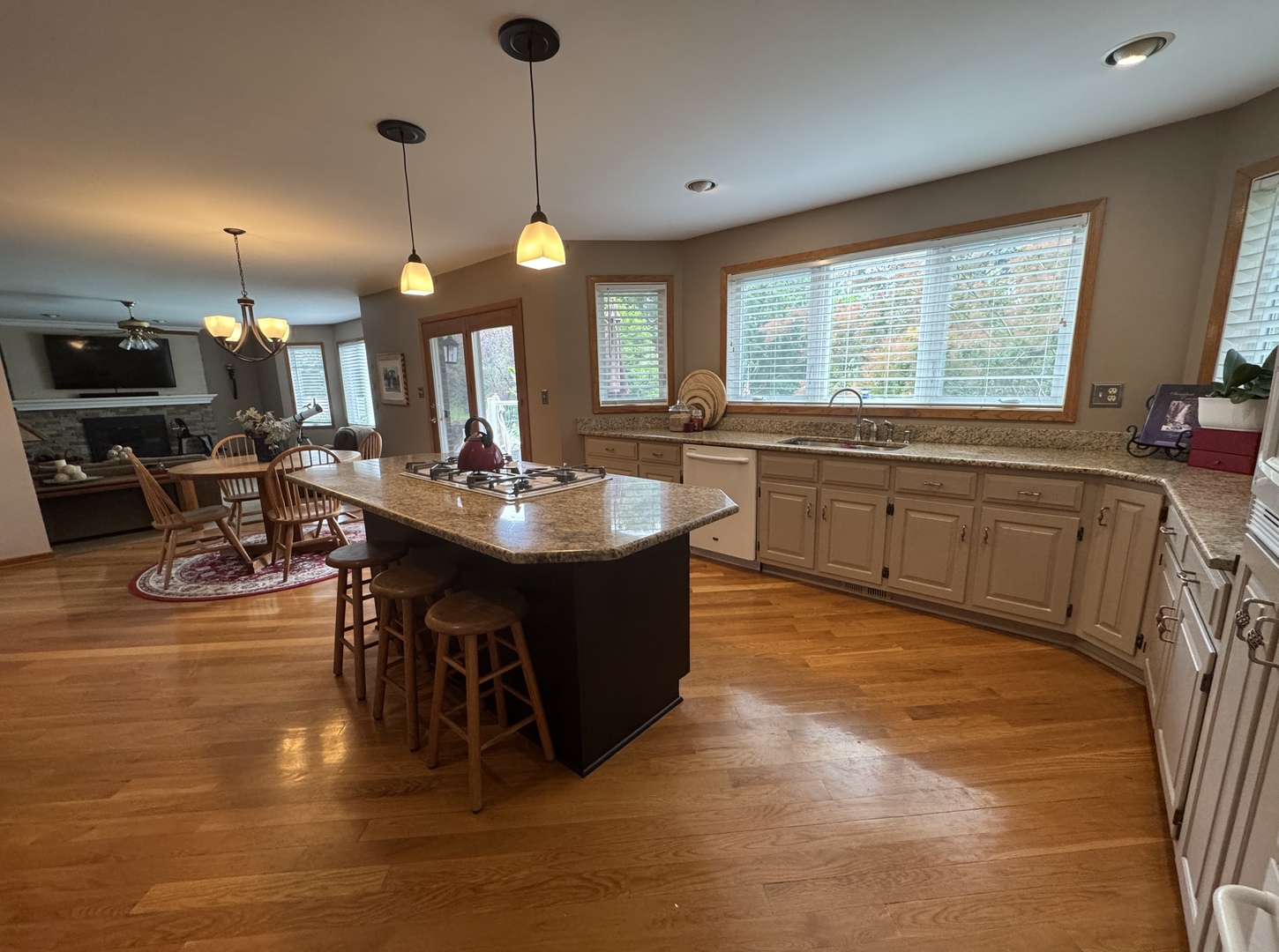 13024 W Creekside Drive, Homer Glen, IL 60491