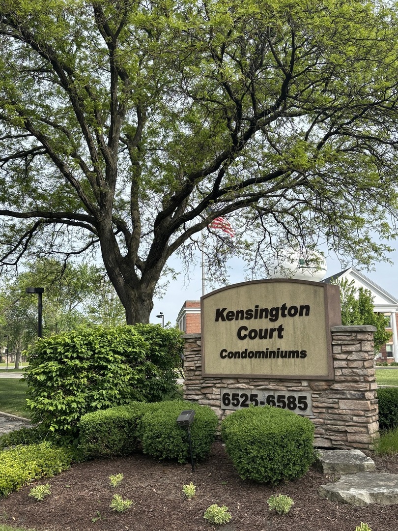 6525 Main Street #204, Downers Grove, IL 60516