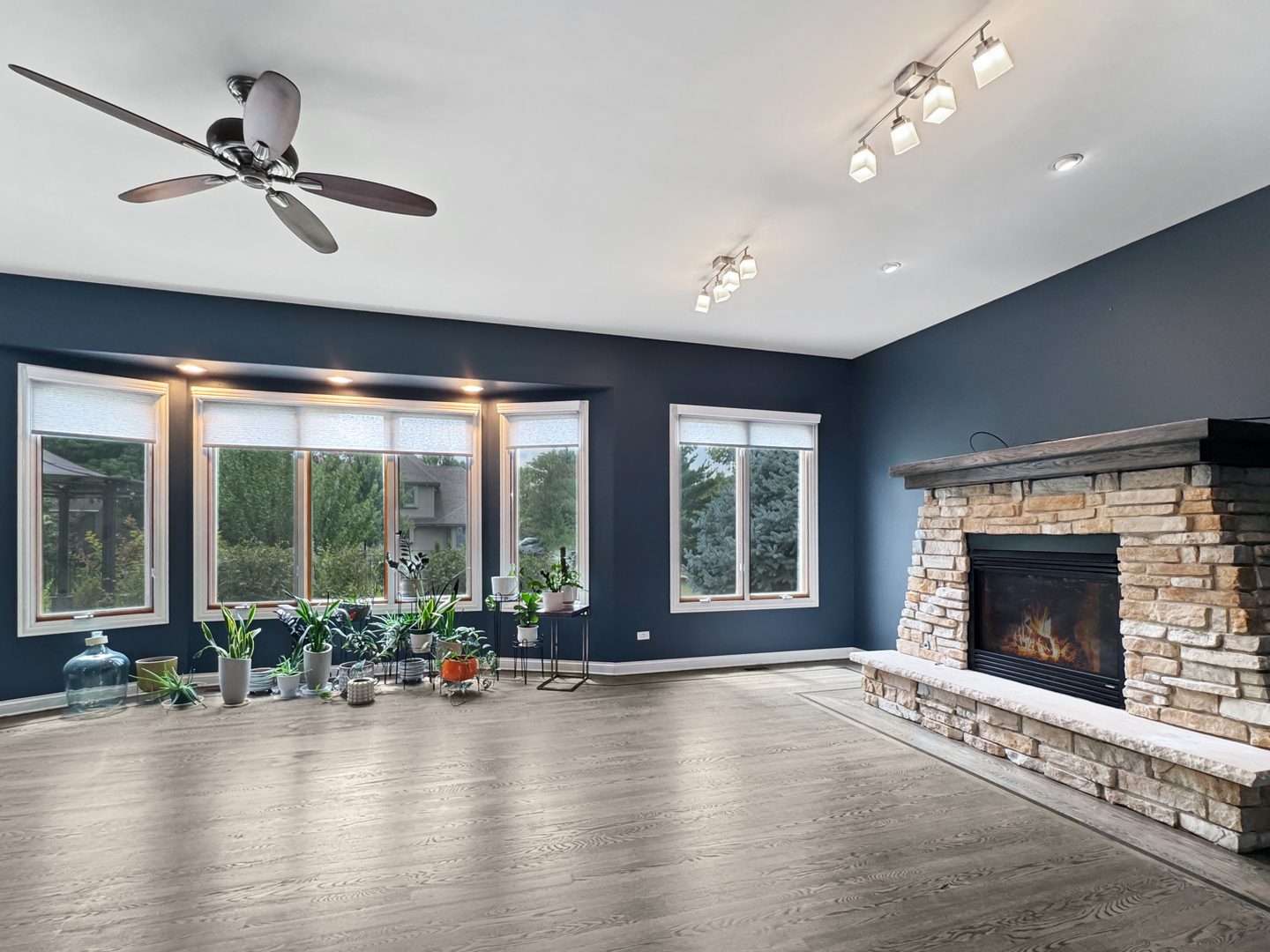 26729 W Allison Drive, Channahon, IL 60410