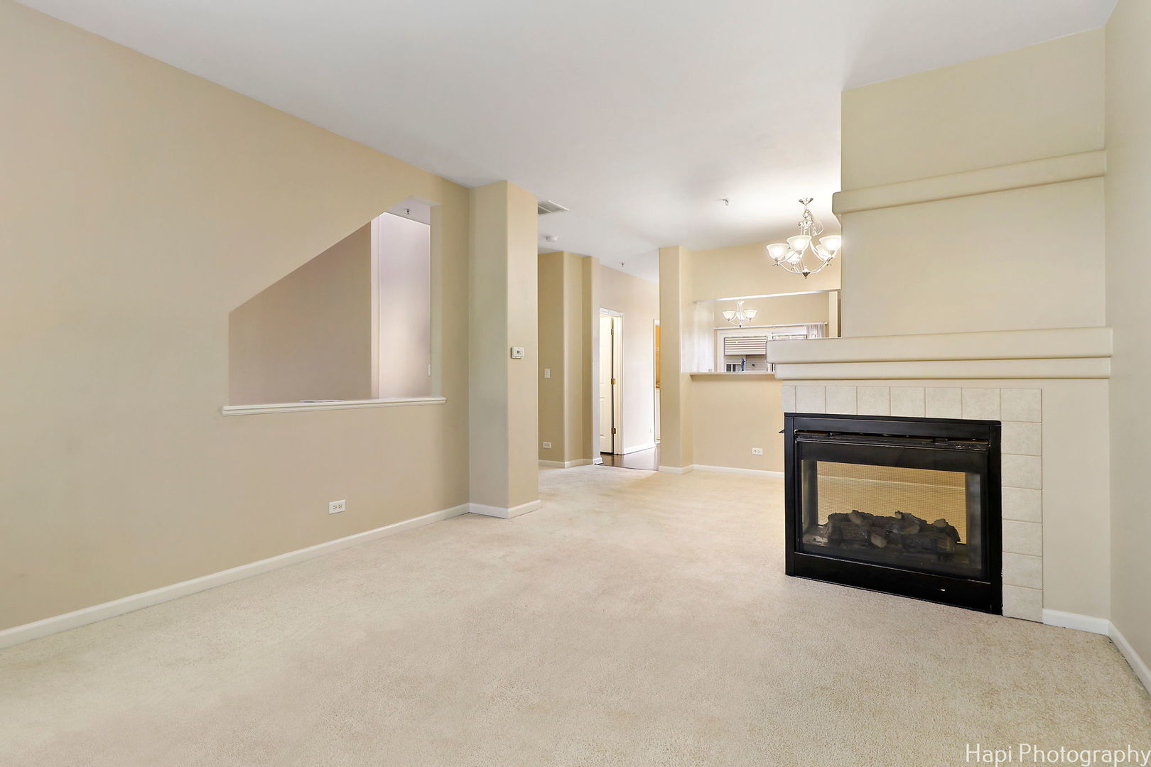 719 HANBURY Drive #719, Des Plaines, IL 60016