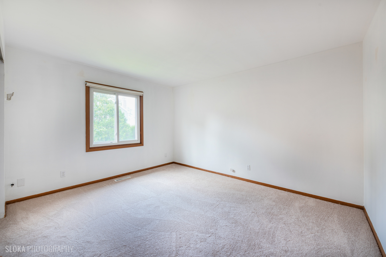1043 Plum Tree Drive, Crystal Lake, IL 60014
