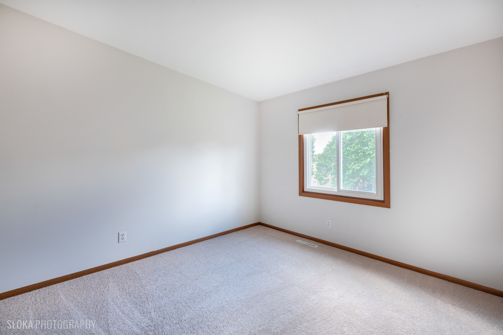 1043 Plum Tree Drive, Crystal Lake, IL 60014
