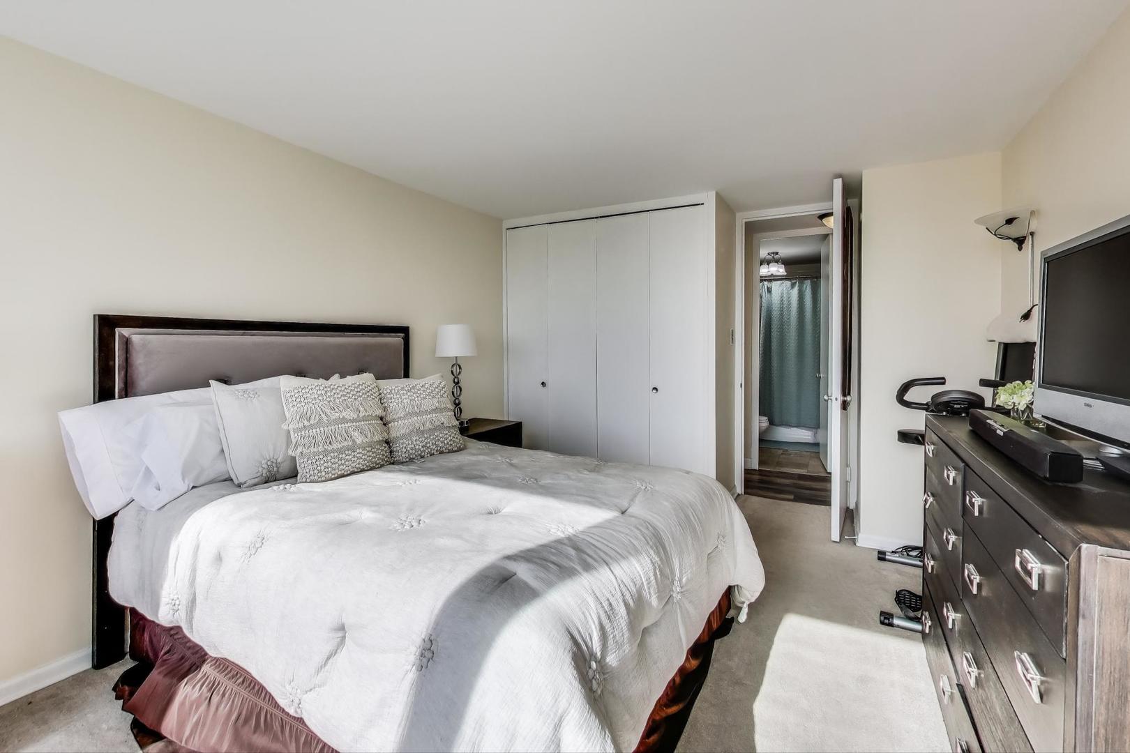 601 E 32nd Street #907, Chicago, IL 60616