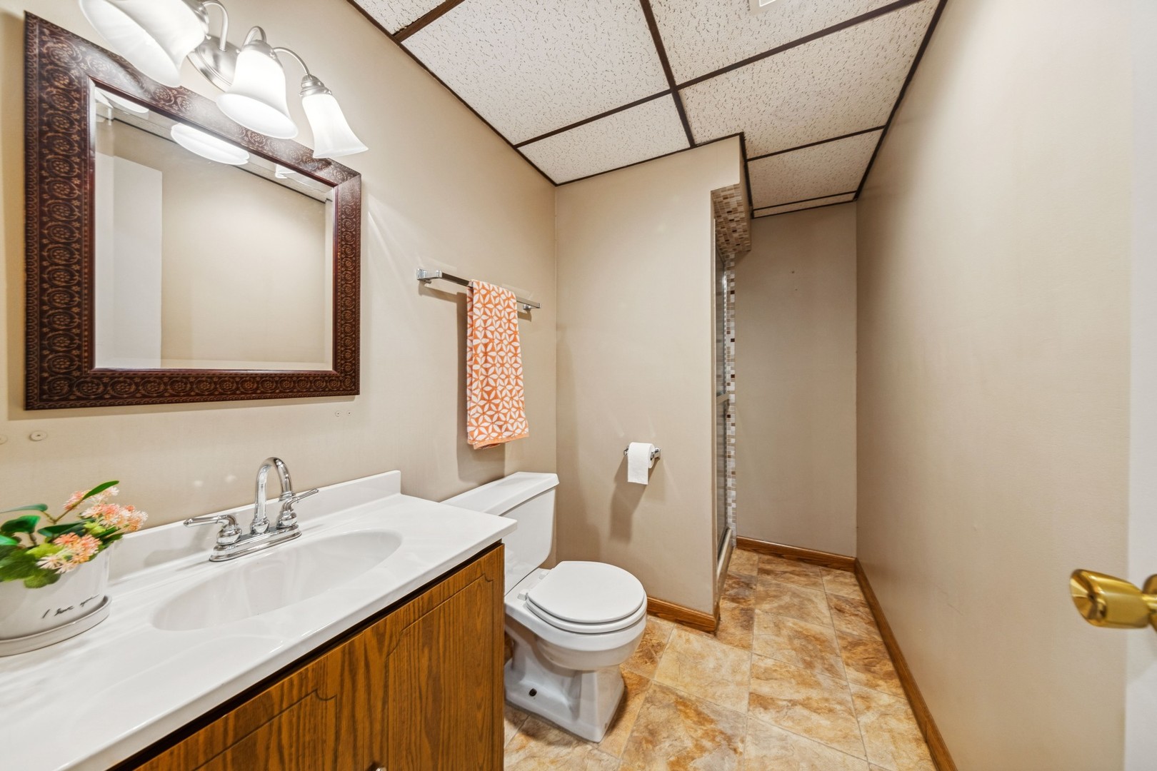5873 Walnut Avenue, Downers Grove, IL 60516
