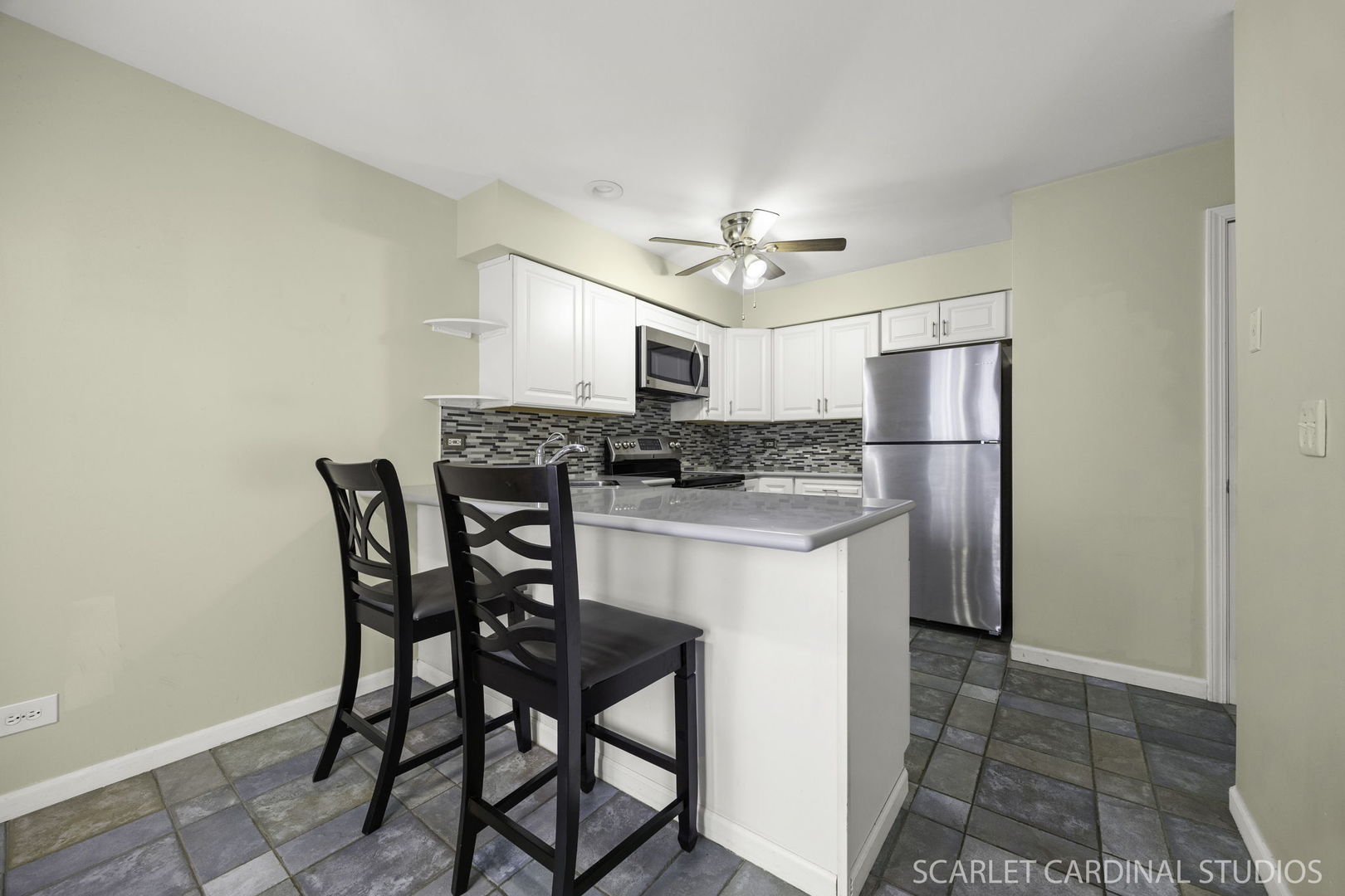 1356 S Lorraine Road #E, Wheaton, IL 60189