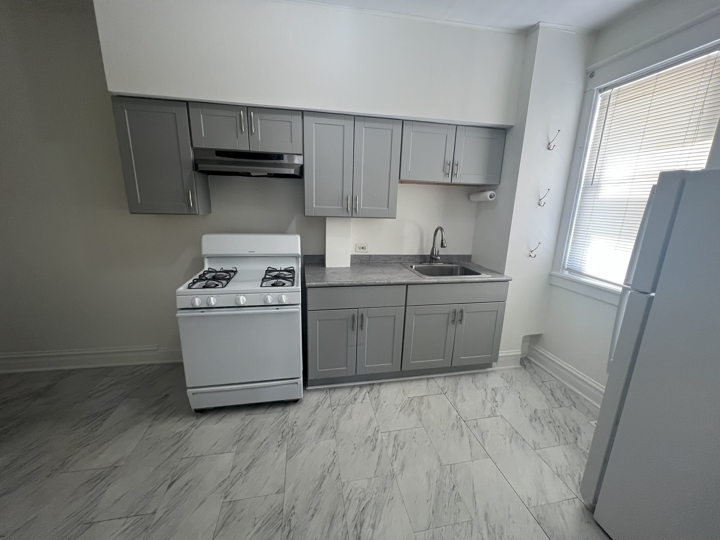 114 W Park Avenue, Elmhurst, IL 60126