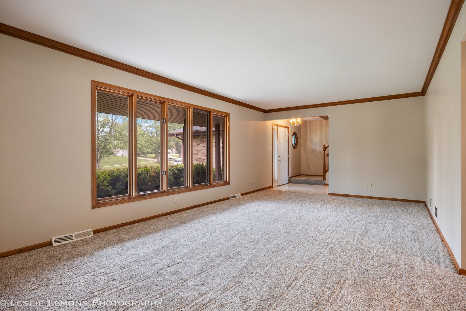 13938 S Trails End Drive, Homer Glen, IL 60491