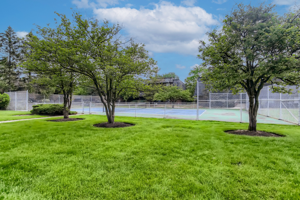 525 Timber Ridge Drive #208, Carol Stream, IL 60188