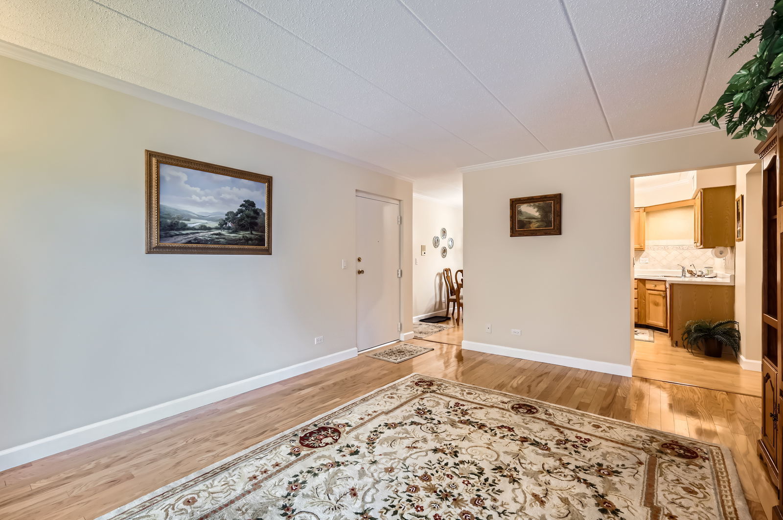 525 Timber Ridge Drive #208, Carol Stream, IL 60188
