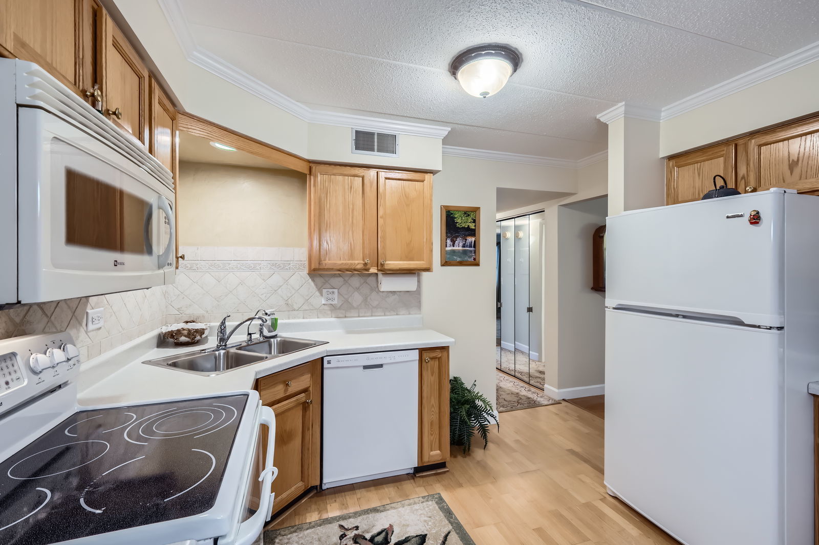 525 Timber Ridge Drive #208, Carol Stream, IL 60188